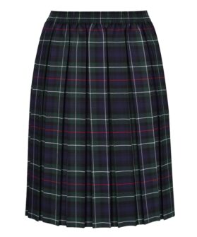 GREEN TARTAN PLEATED SKIRT, Kingfisher Primary School, Hambridge Community Primary