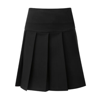 JUNIOR DROP WAIST PLEAT SKIRT, General Sale